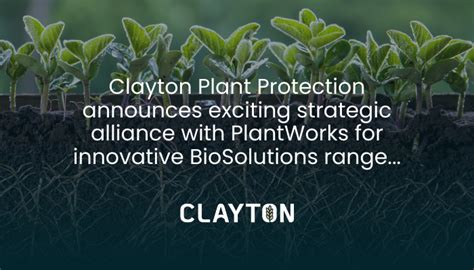 midas clayton|CLAYTON PLANT PROTECTION CLAYTON MIDAS.